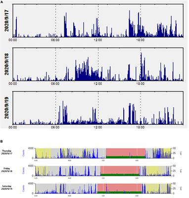 Executive Performance Is Associated With Rest-Activity Rhythm in Nurses Working Rotating Shifts